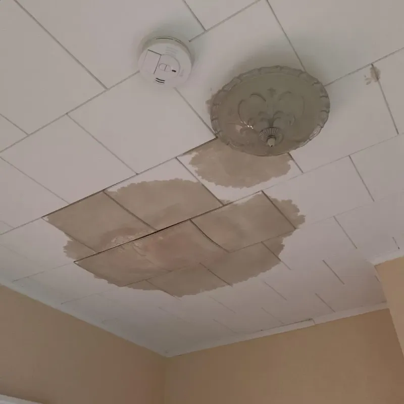Ceiling Water Damage Repair in Gary, IN