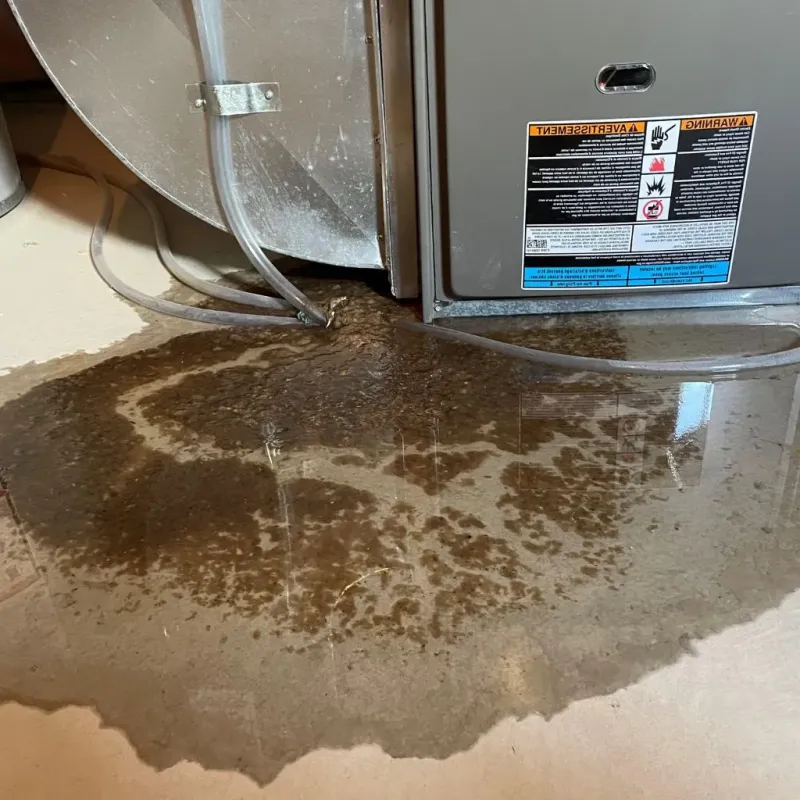 Pipe Burst and Leak Restoration in Gary, IN