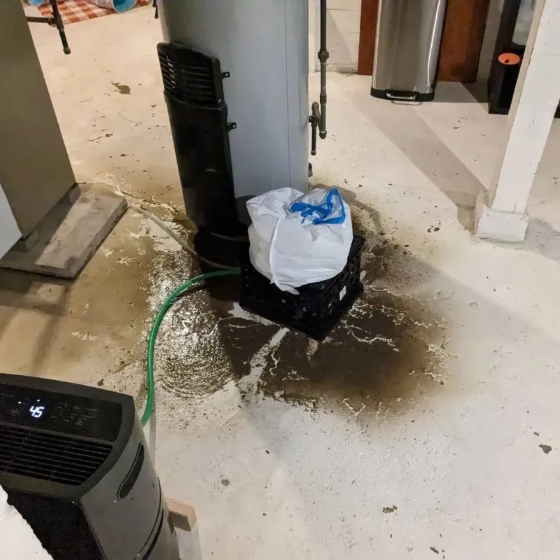 Sewage Backup Cleanup Service in Gary, IN